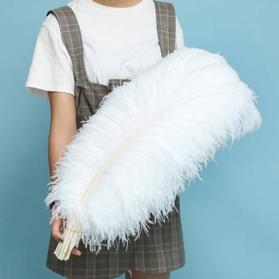 Manufacturers Direct Sales Thick Rod 35-80Diy Ostrich Hair Stage Wedding Clothing Accessories