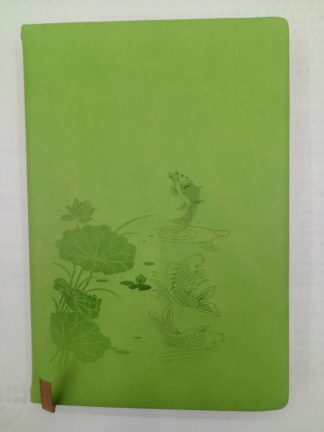 Weijia Stationery Office Culture Notepad Notebook Fresh Student Diary Notebook Affordable Quality Assurance