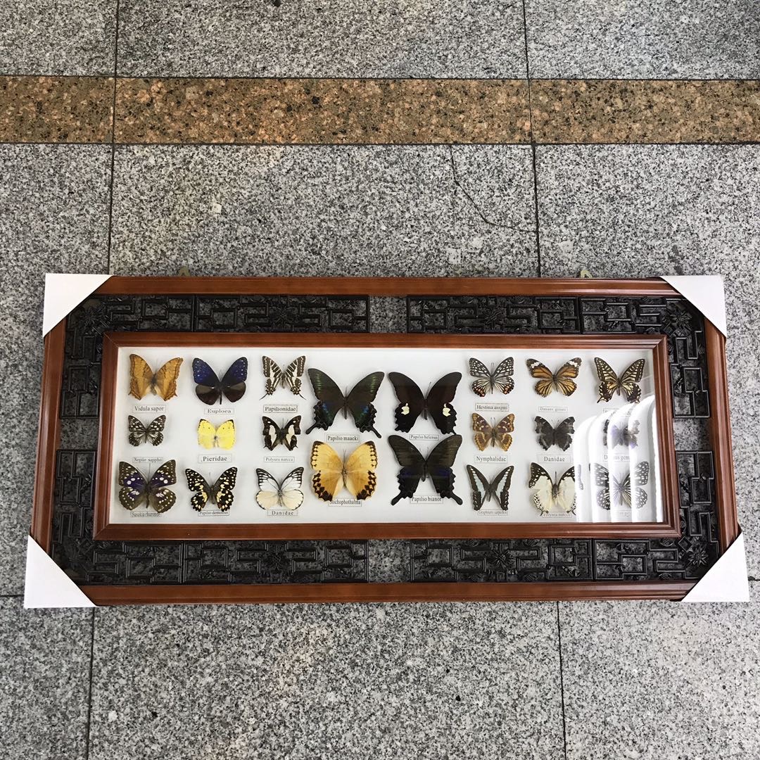 实木立体裱蝴蝶相框裱装DIY昆虫标本框大号挂墙家居装饰加厚画框