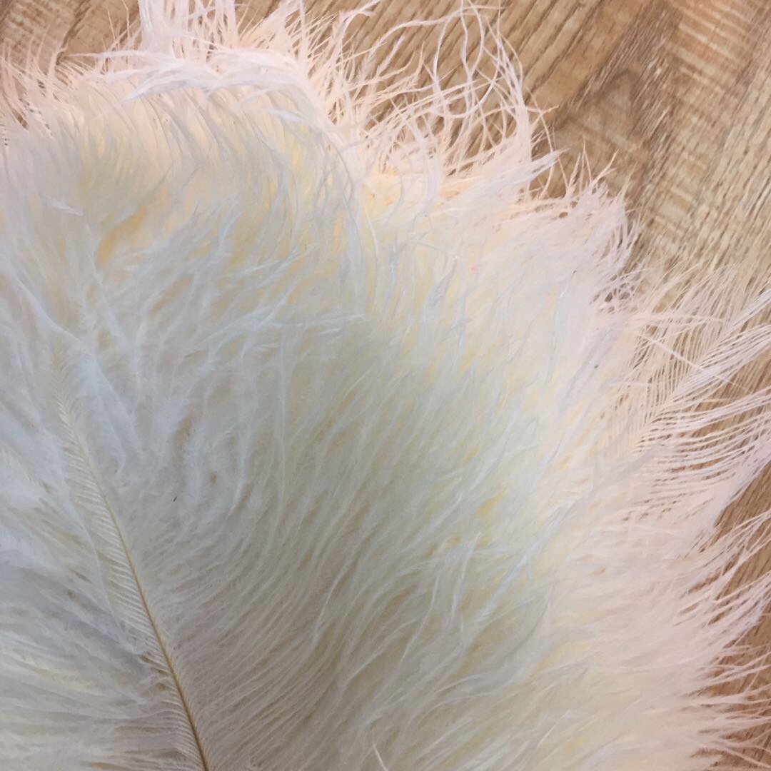 Diy Feather 25-30Cm South African Imported Ostrich Feather Cat Stick Hat Bag Headgear Decorative Material Feather details Picture