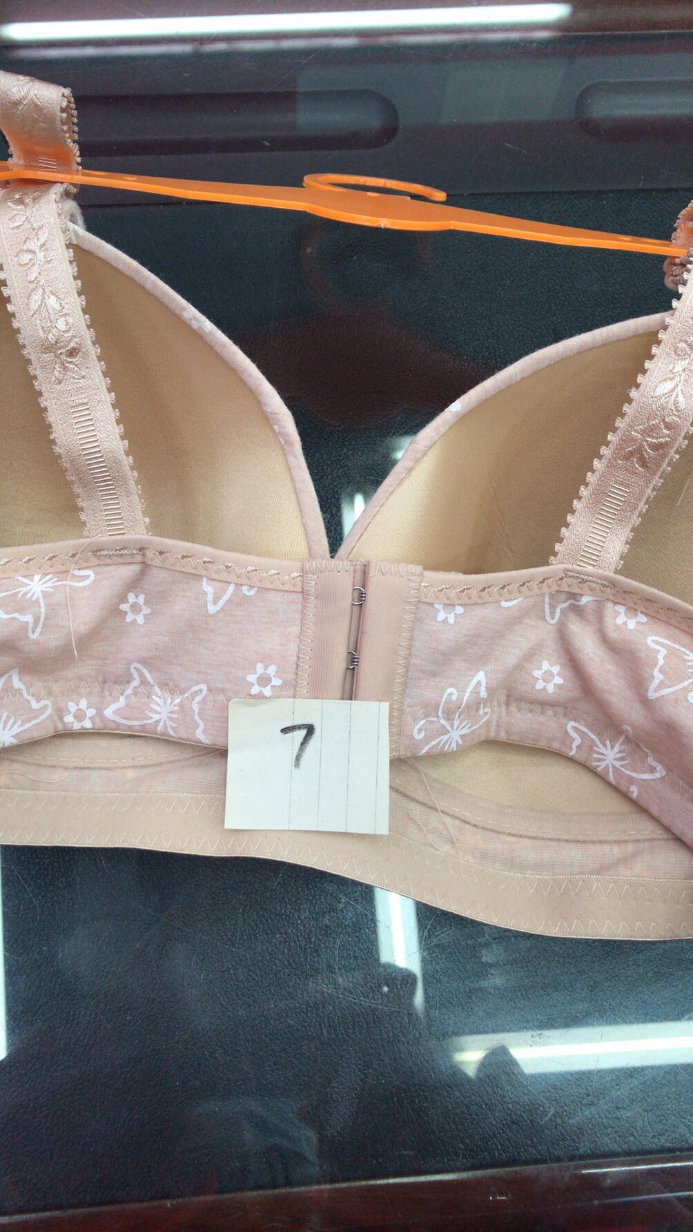 Foreign Trade Pink Butterfly Pattern Push-Up Bra Cute Girl Bra Ladies Underwear details Picture