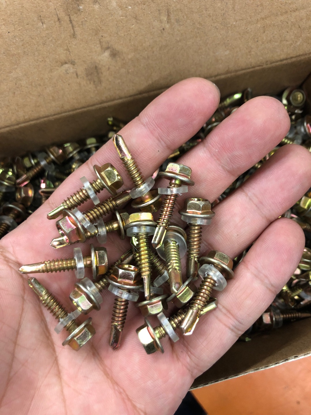 Hongting Fastener Fine Brick series drill tail screws specification 12* 25mm screws Specification image