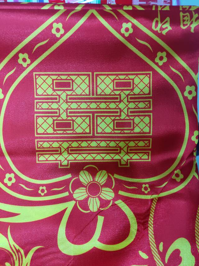 Dragon Phoenix Printing Imitation Silk Quilt Cover details Picture