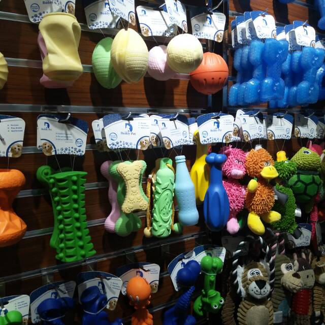 Barty Pet describe pic - 3