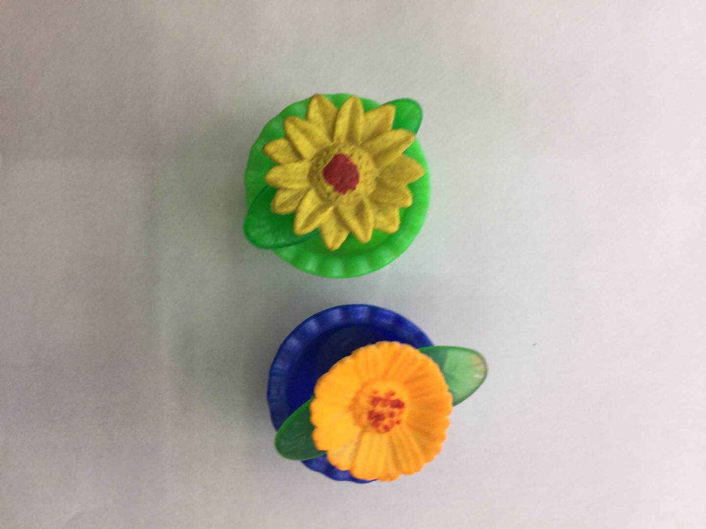 泡大彩色世纪之花膨胀玩具儿童玩具产品图