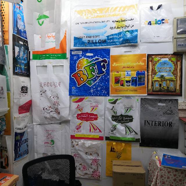 Build a city and make bags describe pic - 3