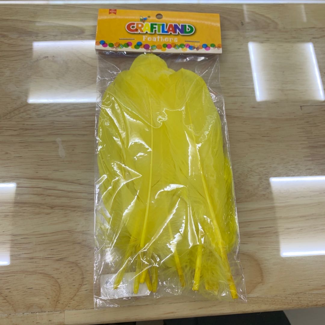 限时抢购！热销爆款！彩色染色鸟类羽毛，手工DIY必备，不买你绝对会后悔！