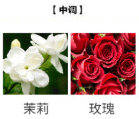 香水/香水小样/大牌香水/阿拉伯香水/送礼高档产品图