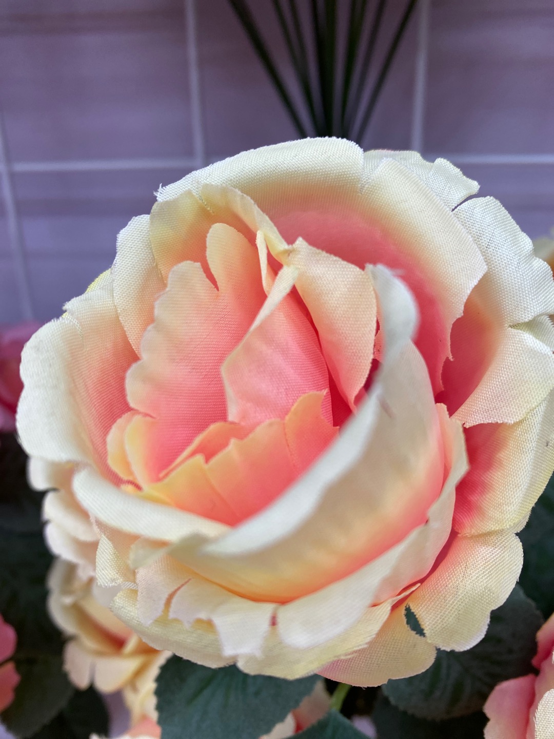 Factory direct sales: Nine-headed rose fabric available in multiple colors details Picture