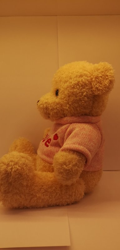 8-inch dressing Bear LOVE Teddy Bear plush toy figurine manufacturer wholesale 6418 details Picture