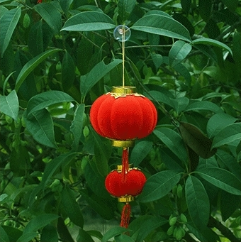 红灯笼/灯笼/工艺品灯笼/古风小灯笼/纸灯笼产品图