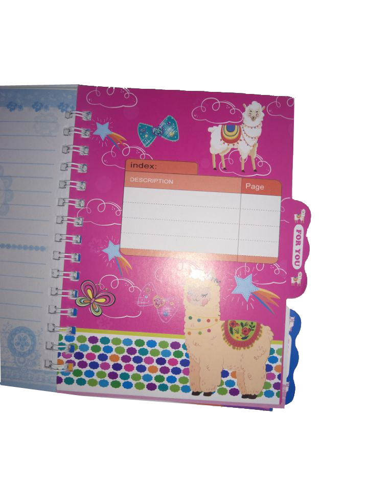 Septbook notebook lock close-up
