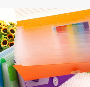 Plastic Button File Case Transparent A4 File Case details Picture