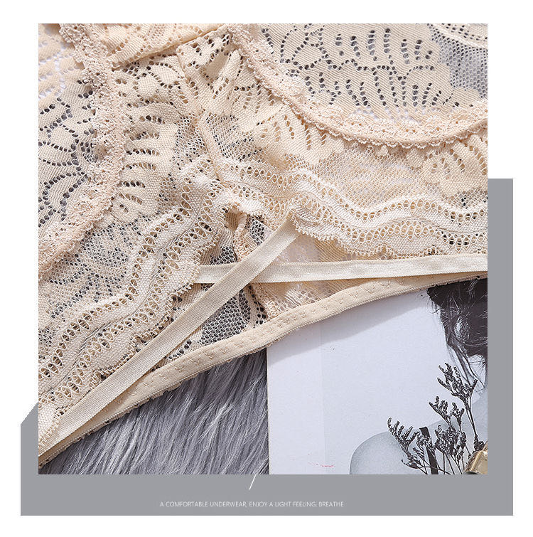 Sexy Lace Underwear Women's Net Gauze Transparent Low Waist Seamless Triangle Pants Cotton Crotch Big Size details Picture