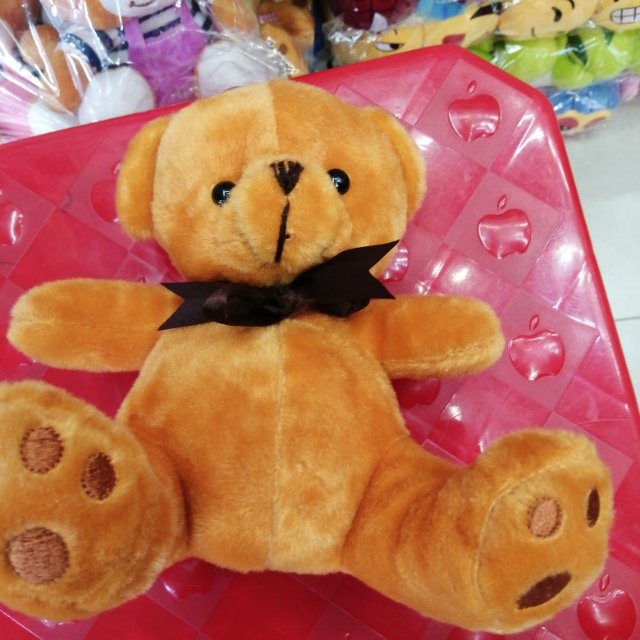 毛绒玩具绣脚熊