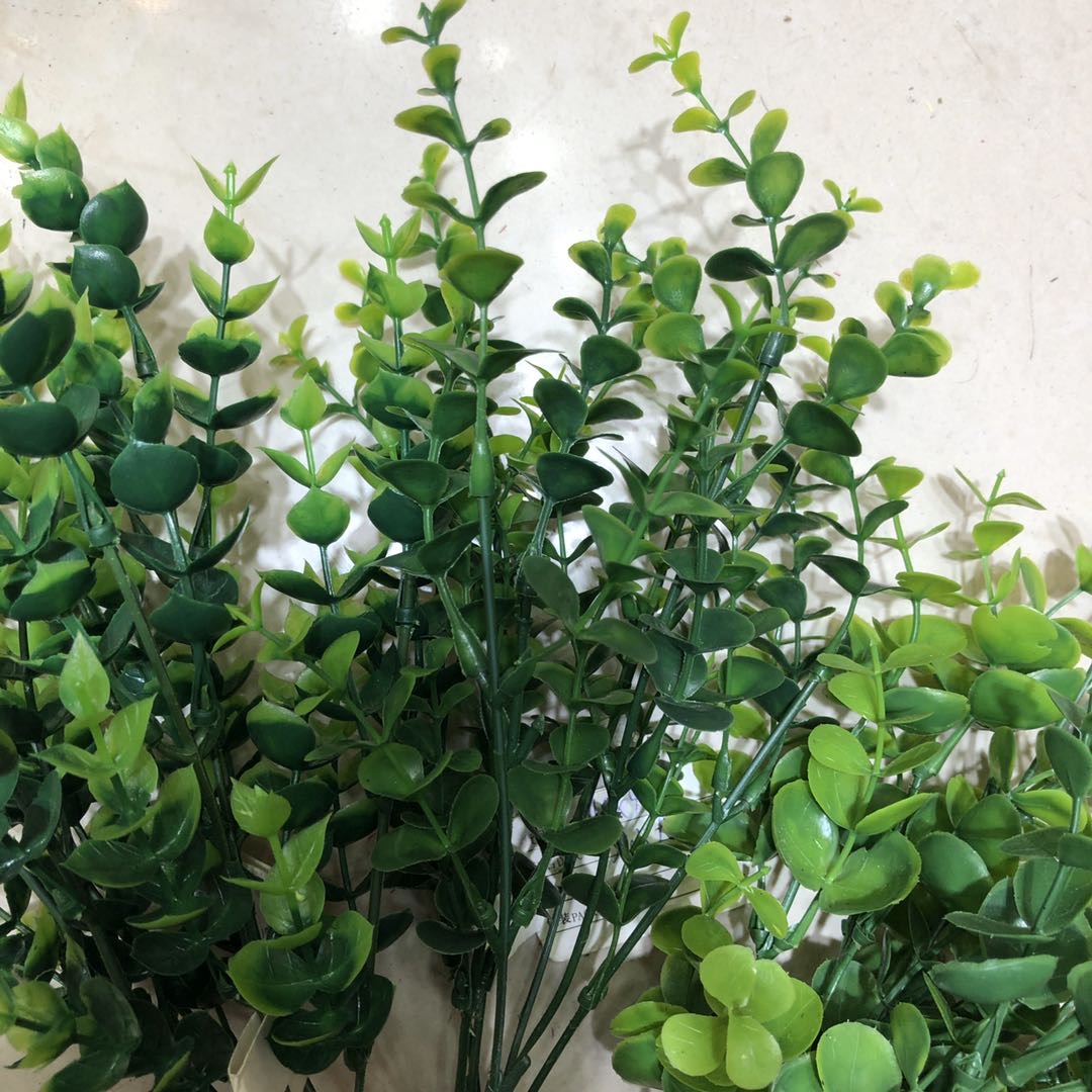 Simulation Eucalyptus Water Grass Garden Small Fresh Decoration Home Photography Accessories Manufacturers Direct Sales Specification drawing