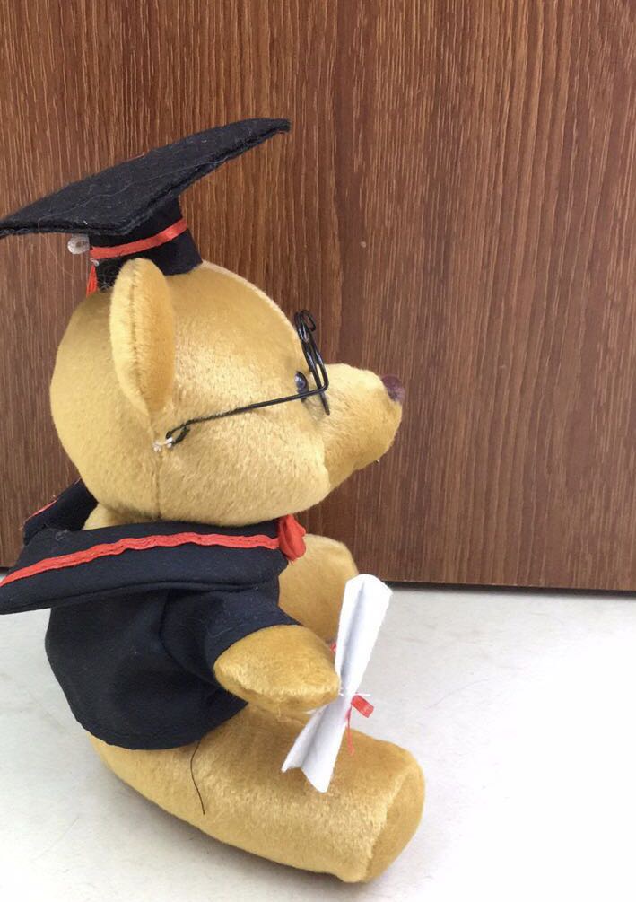 Plush Doctor Bear as a gift for children, girls, toys and home decorations details Picture
