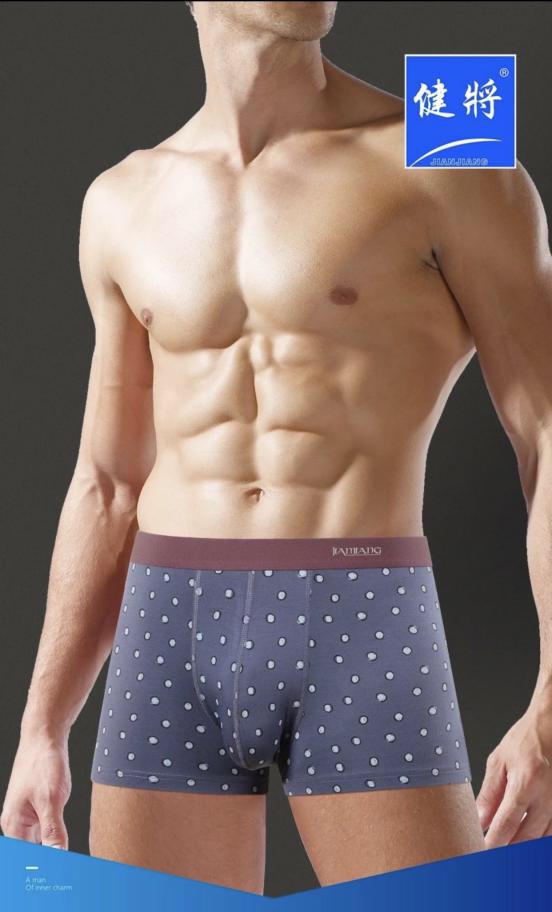 健将天竹男士平角内裤