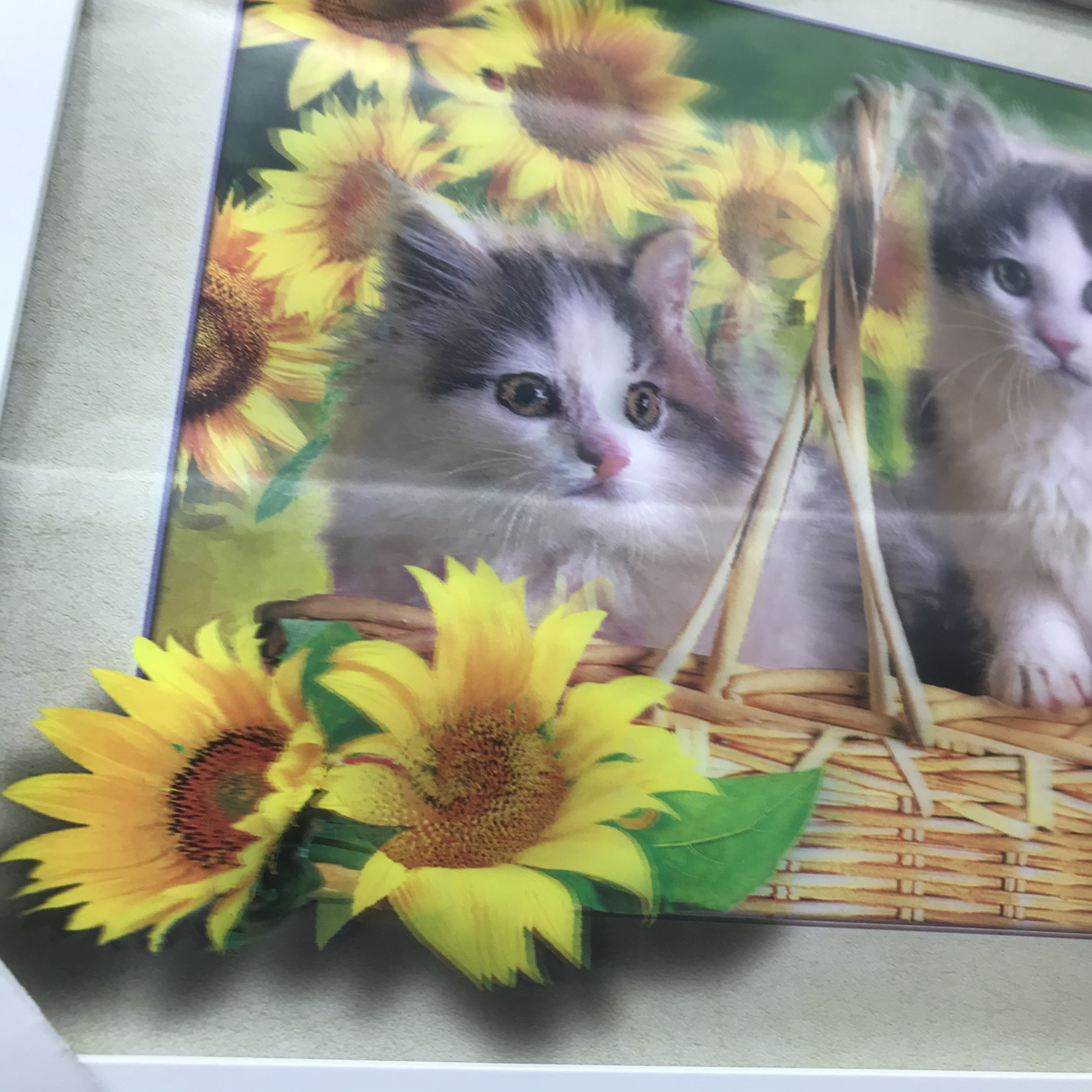 Sunflower, little cat decorative painting, 3D stereoscopic painting, lenticular PET living room room details Picture