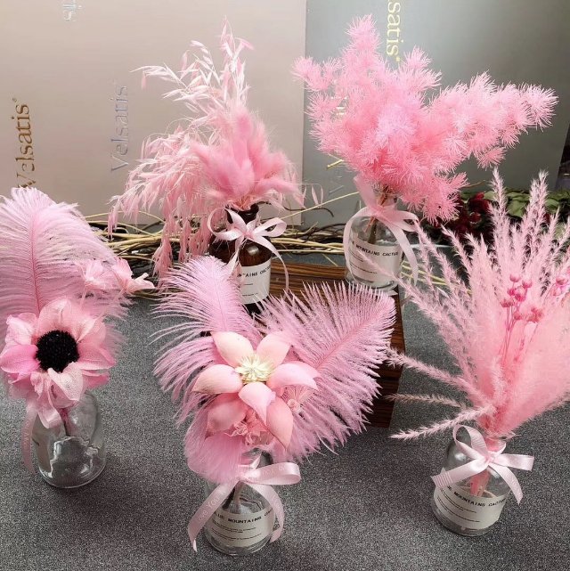 大干花芦苇粉色少女心摆件迷你蒲苇