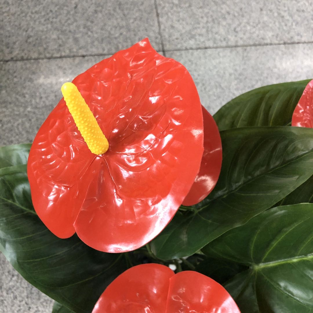 ١ -٣ -مطعم في متجر لبيع الألواح المعدنية في حديقة حديد مدارية مغطاة بالحديد وغرس في نبتة حصان الخيل details Picture