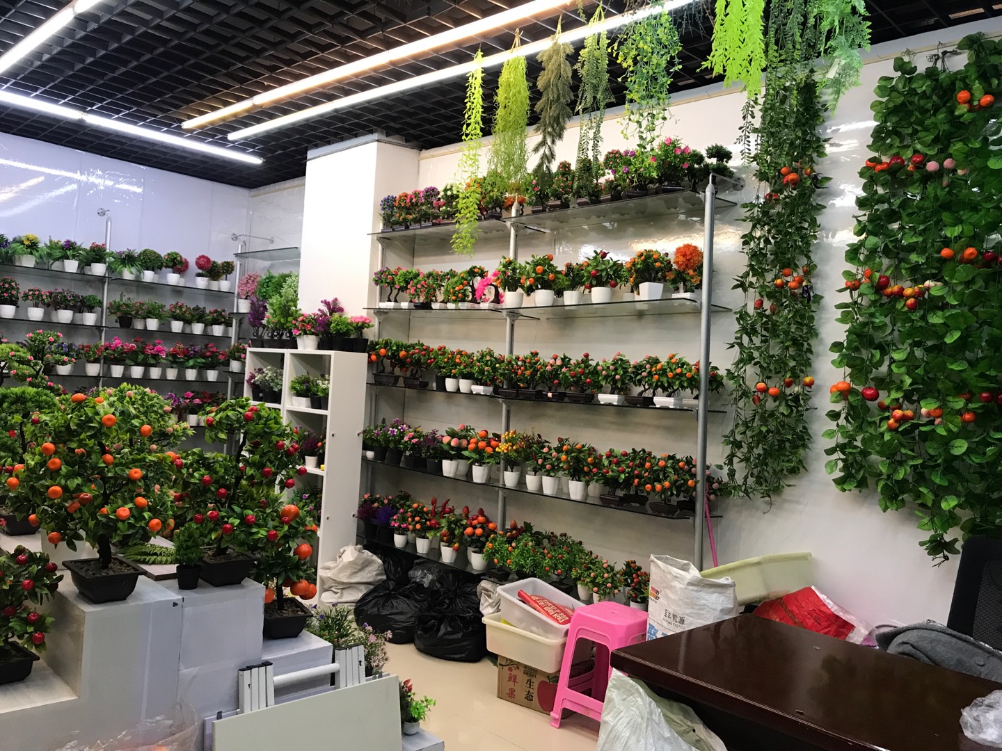 Guangdong Chaolong Flower and Leaf Bonsai Trading House describe pic - 2