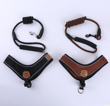 Dog leash for small and medium-sized dogs details Picture