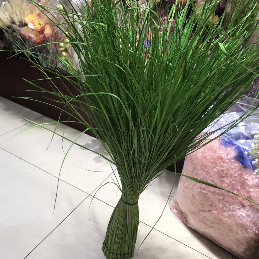 Simulated grass Norse wind plant simulation reed dog-tail potted living room clothing store decorations display a flower window thumbnail