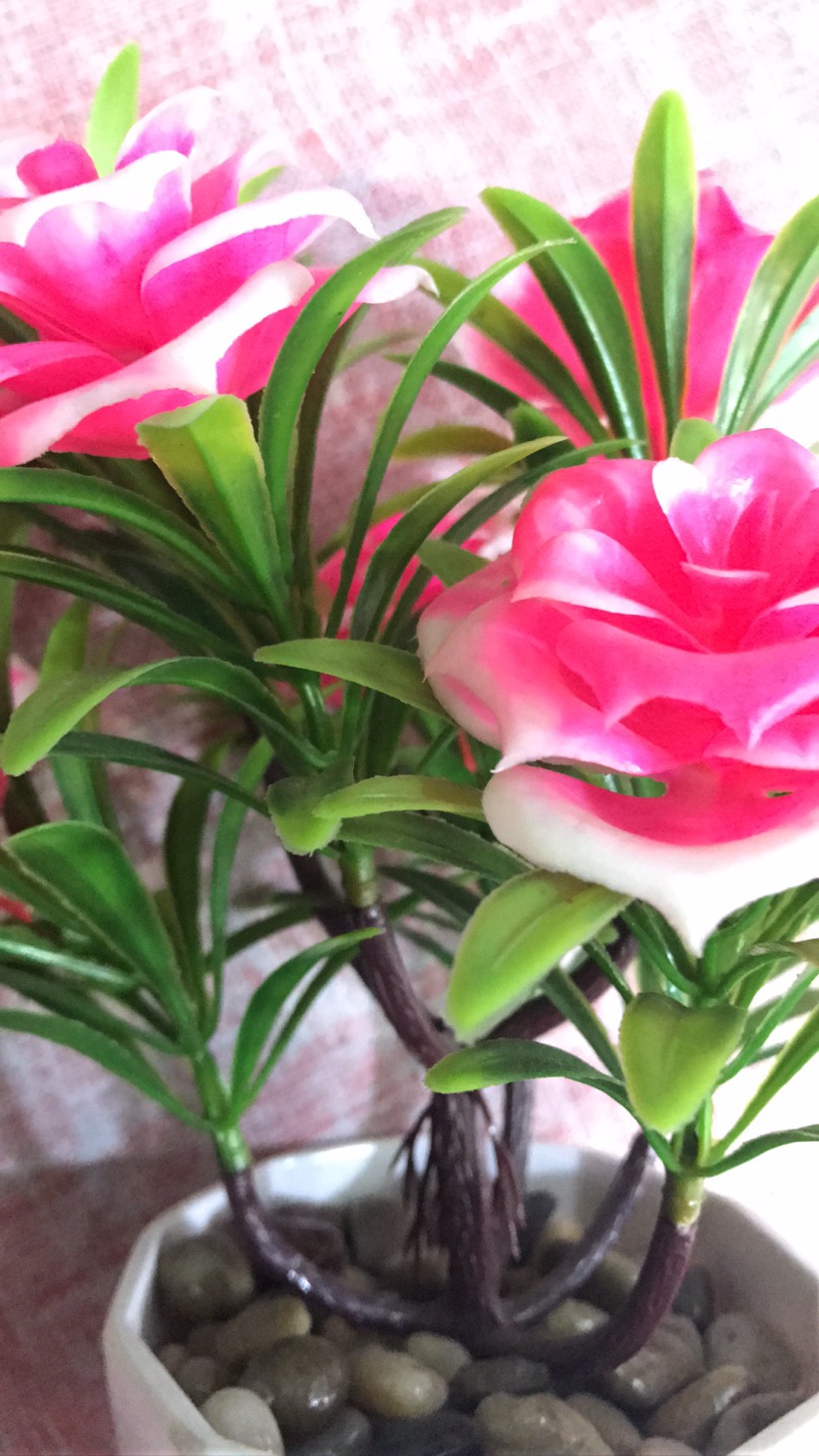 多肉植物墙植绒假多肉组合室内塑料绿植装饰花摆件产品图