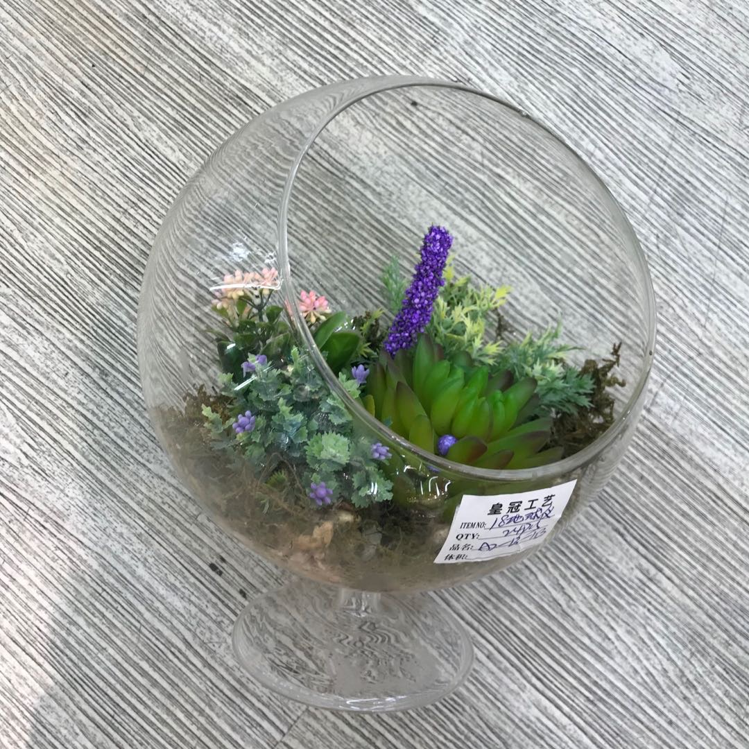 A small and fresh home decoration micro-landscape high borosilicate vase Specification image