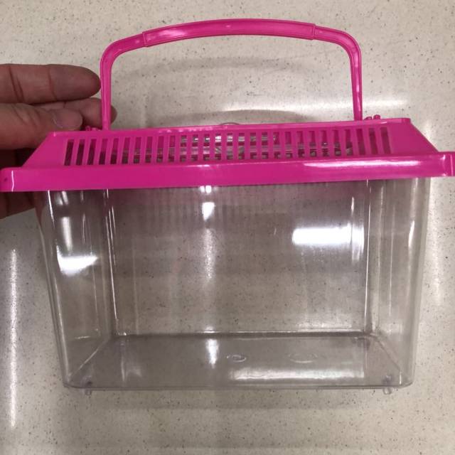 大中小号手提透明宠物饲养盒运输鱼龟盒塑料金鱼缸乌龟缸封闭式图