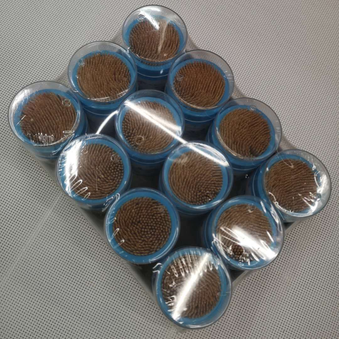 竹制牙签盒装便携式塑料瓶家用天然竹牙签