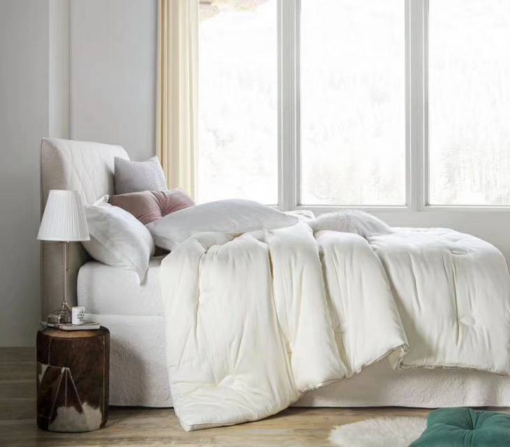 High-end luxurious milk-printed spring and autumn quilt