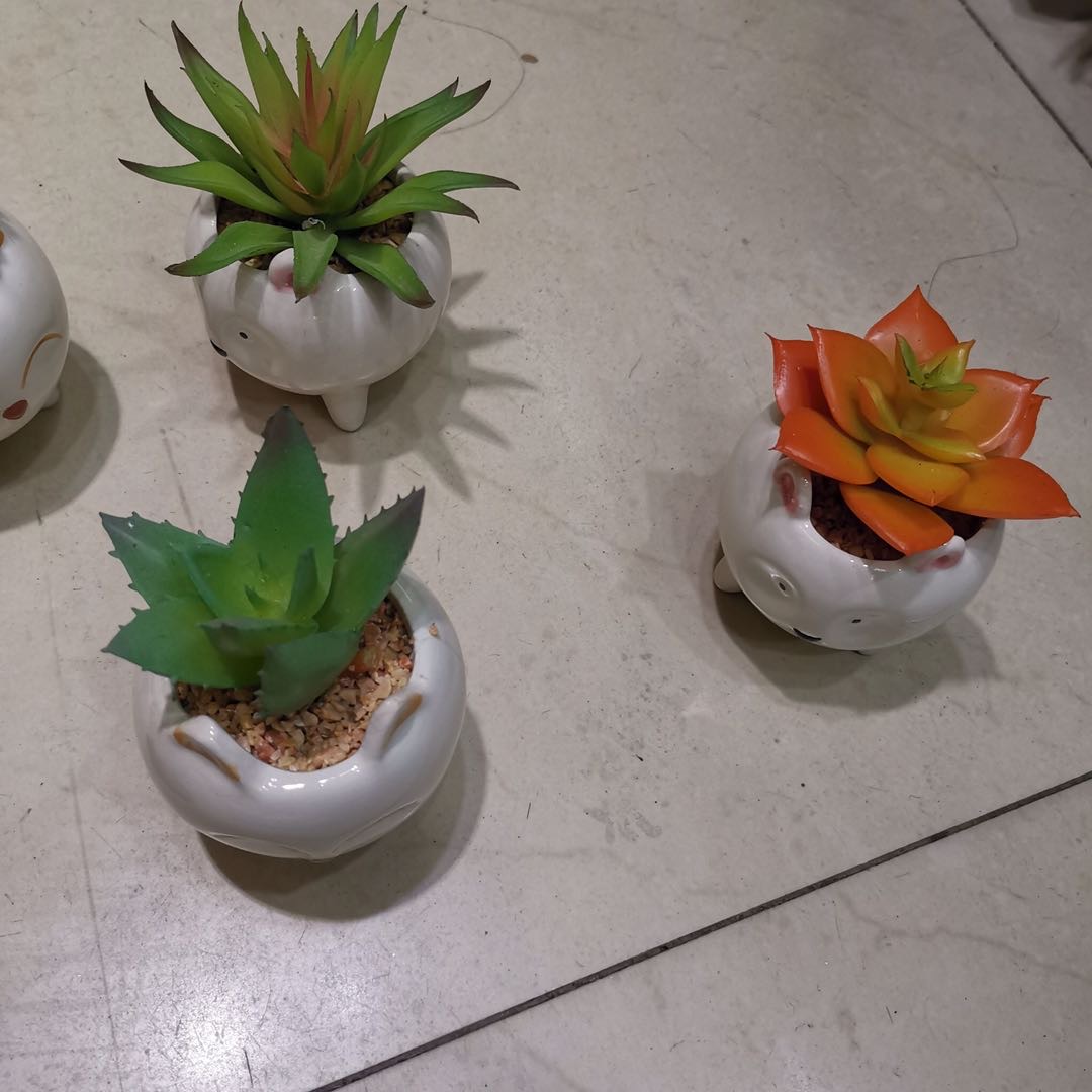 仿真植物仿真花仿真小动物多肉120pcs装细节图