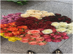 Factory direct sales of new artificial hand-held roses Specification image