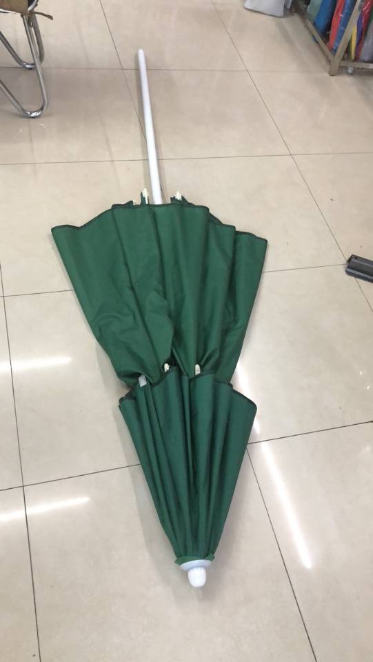 双顶休闲太阳伞产品图