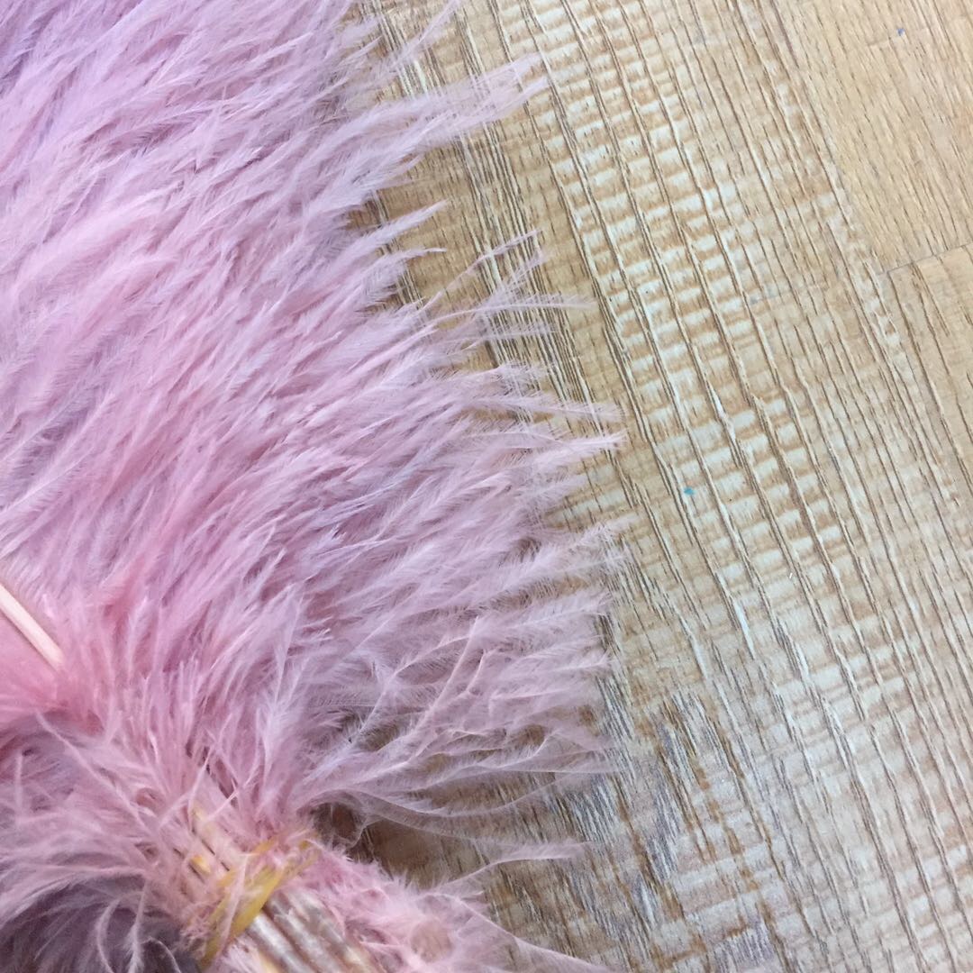 Solid Color Feather Ins Korean Style Jewelry Posing Girls Table Decoration Elegant Soft Outfit Chic Collocation Specification drawing