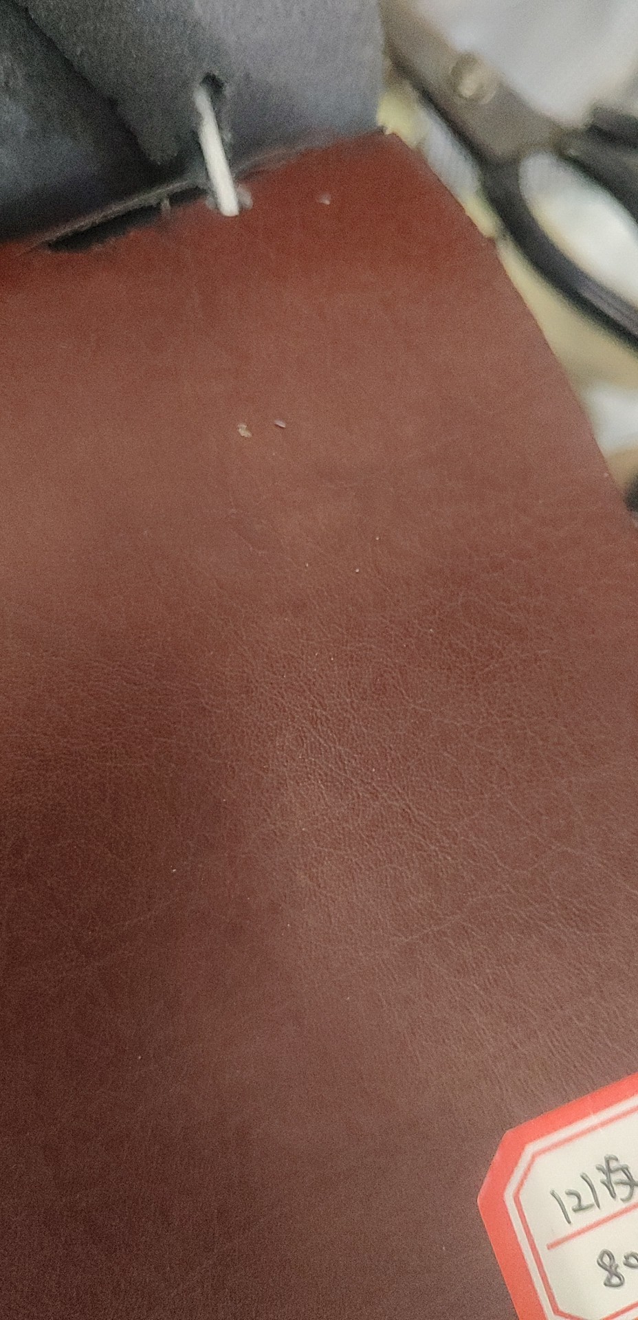 羊皮革实物图