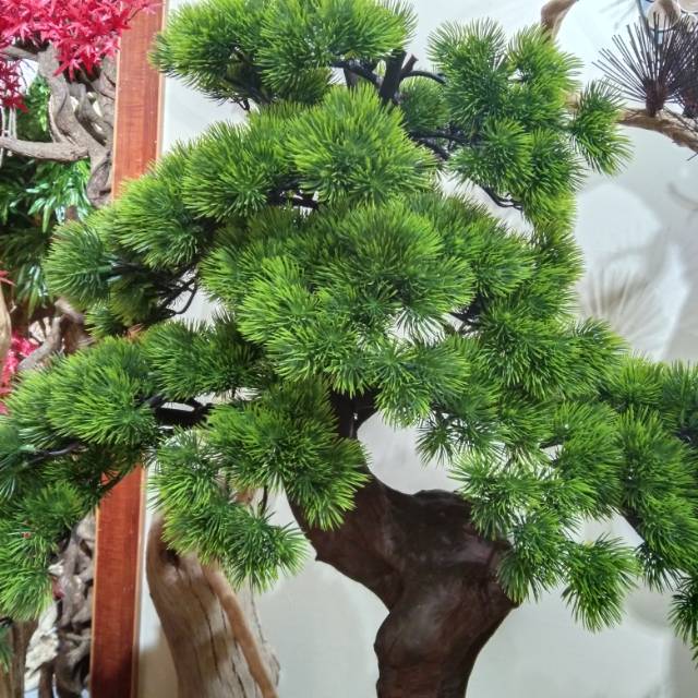 深色沙木  高仿松树   装饰品   摆件