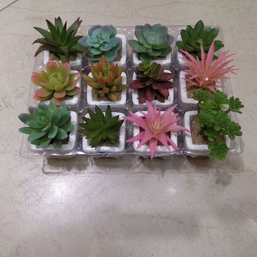 迷你陶瓷多肉仿真田园小清新192pcd装仿真