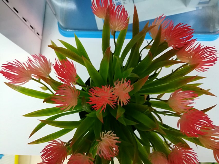 Artificial plant plastic decorative flower small potted plants, artificial Phalaenopsis flower bouquets, calla lilies, asters bonsai, living room ornaments Specification image