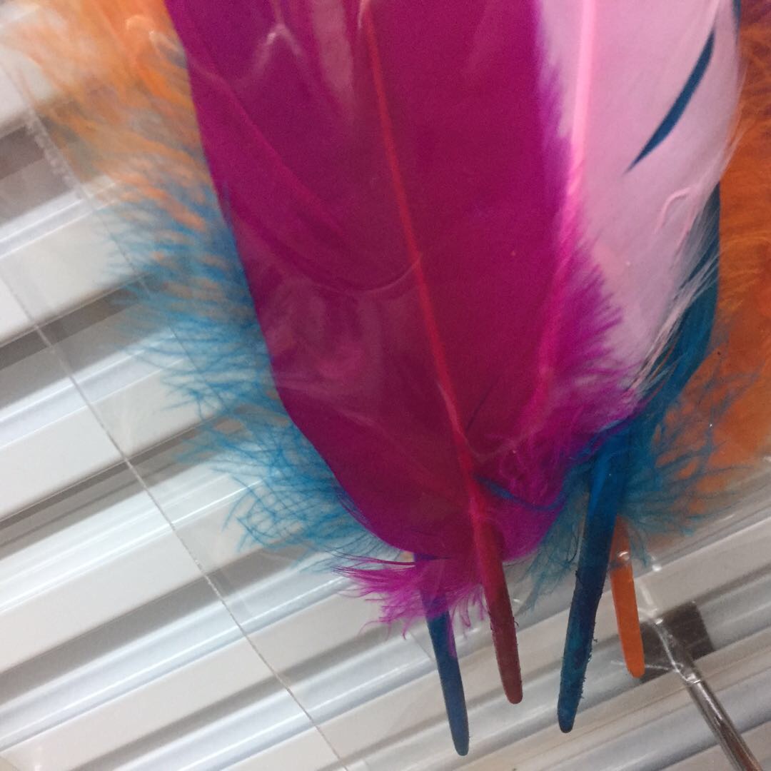 Kindergarten Colorful Feathers Diy Art Course Handmade Stickers Making Materials Creative Decorative Ornaments For Children Bright Pink Feather Soft Body Specification drawing