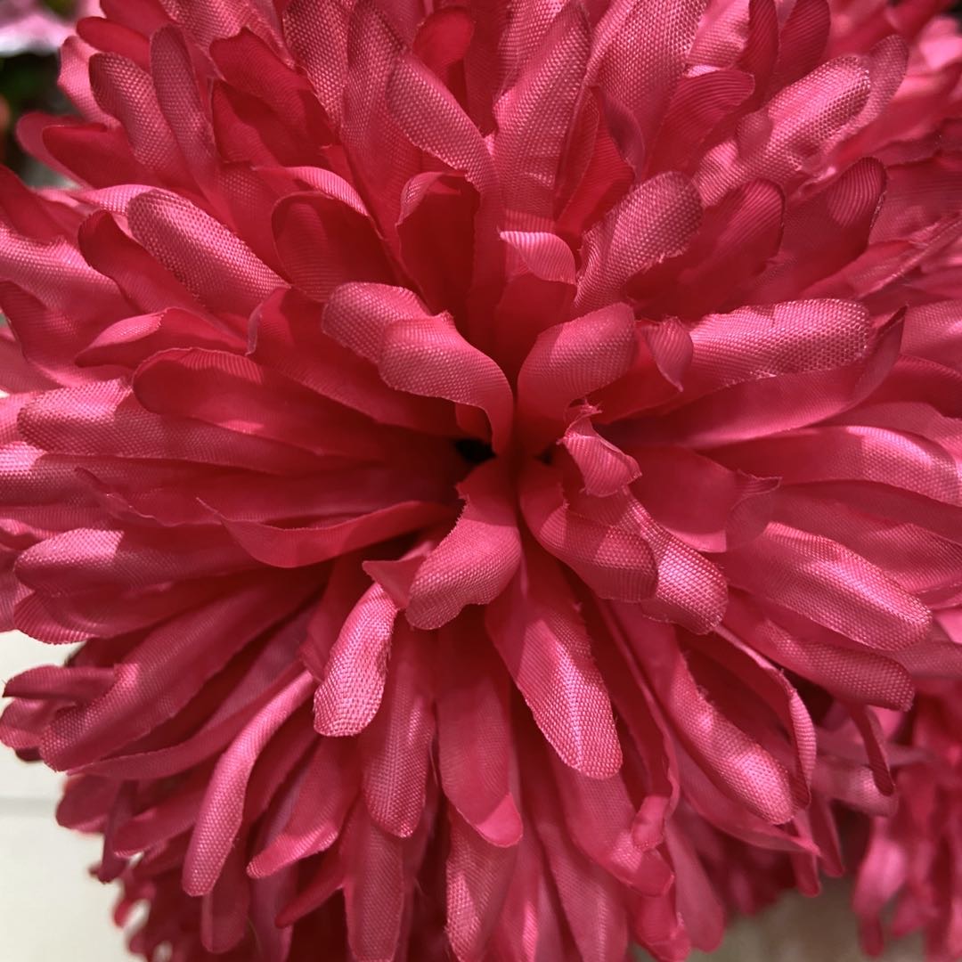 教师节/仿真花女2022森系/教师节花/天堂鸟/向日葵花头产品图