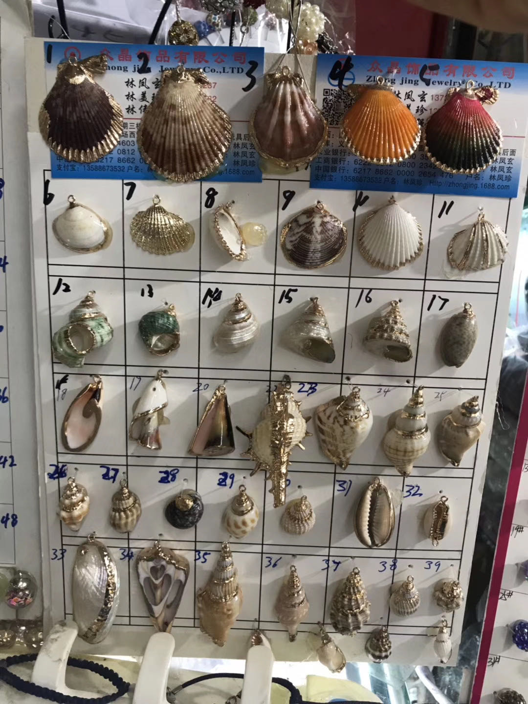 天然贝壳