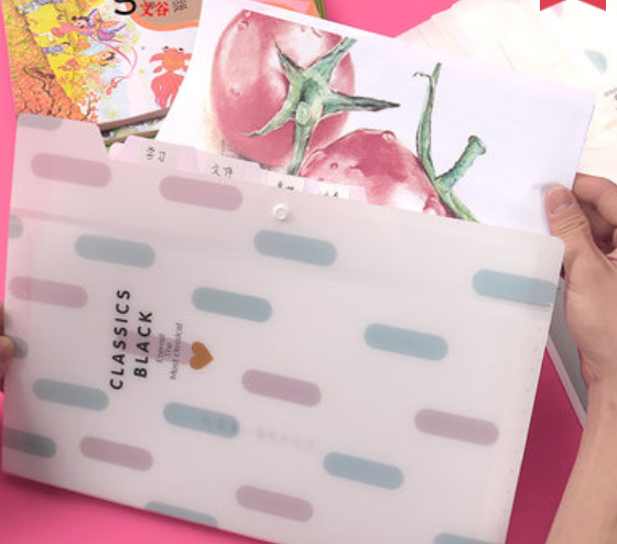 A4风琴包多层文件夹档案夹初中高中学生透明试卷夹试卷袋细节图