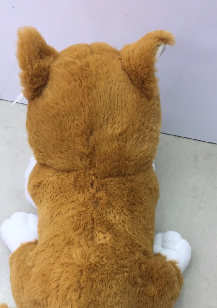 Direct sales from the manufacturer of plush cartoon cat dolls and cloth dolls Specification image