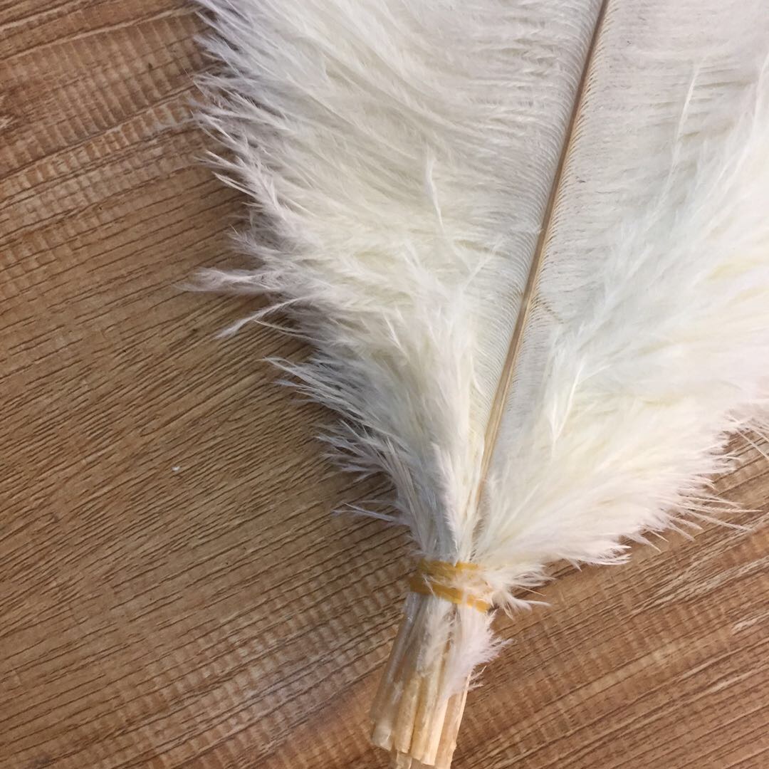 Diy Feather 25-30Cm South African Imported Ostrich Feather Cat Stick Hat Bag Headgear Decorative Material Feather Specification drawing