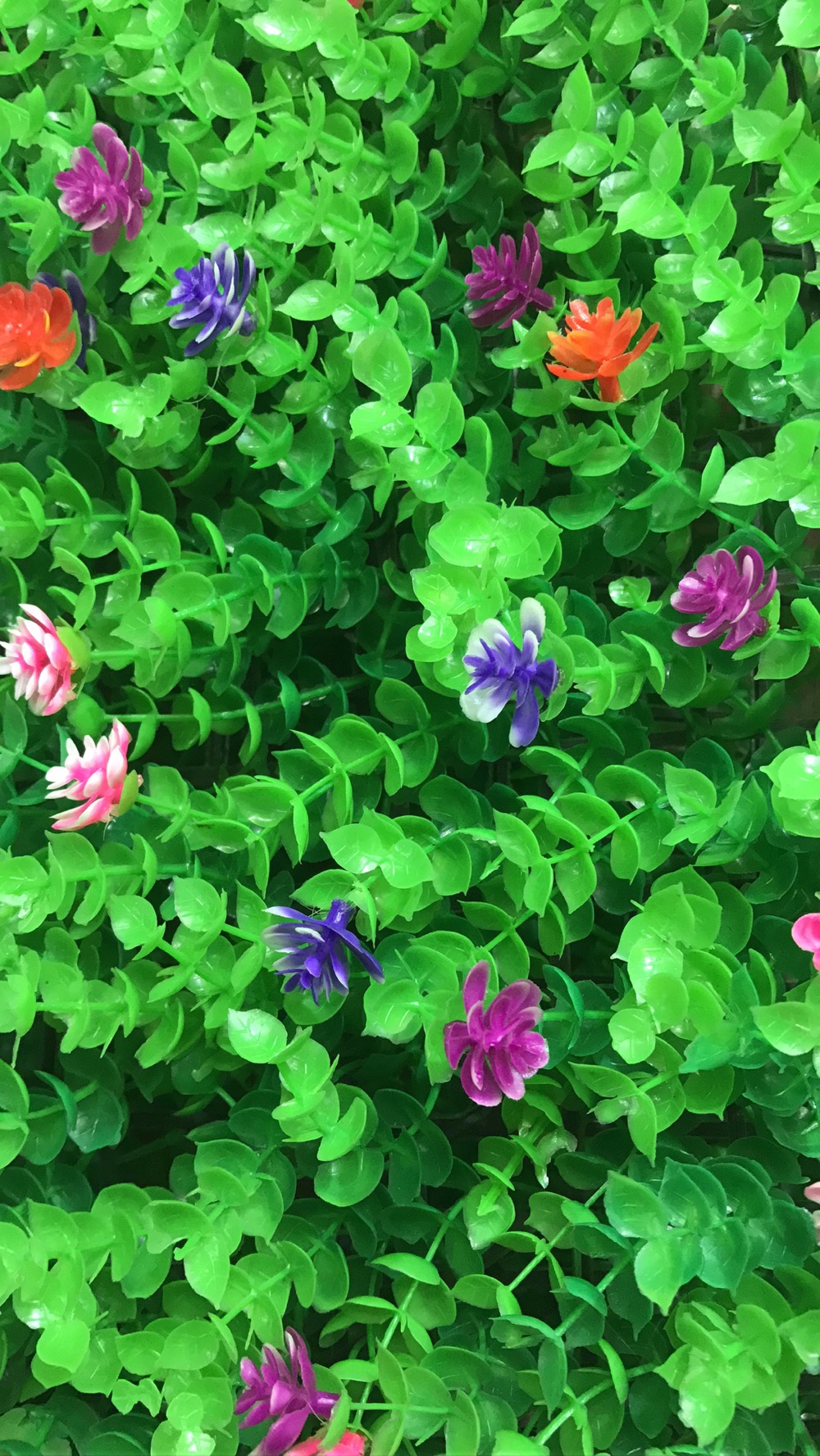 彩色带花尤加利绿植植物墙仿真背景墙尤加利绿植米兰塑料草坪