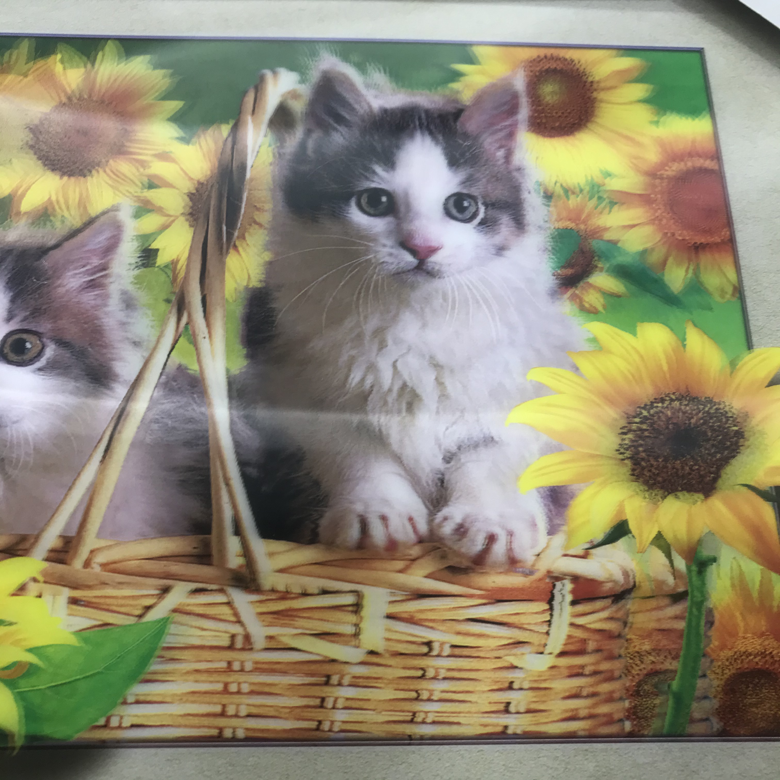 Sunflower, little cat decorative painting, 3D stereoscopic painting, lenticular PET living room room Specification image