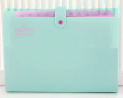 Organ Bag Portable Briefcase Office File Bag A4 Information Bag